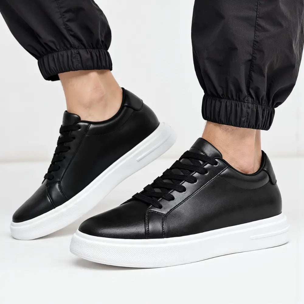 https://cdn.shopify.com/s/files/1/0602/1690/1850/files/Aurex_9.webp?v=1754955784