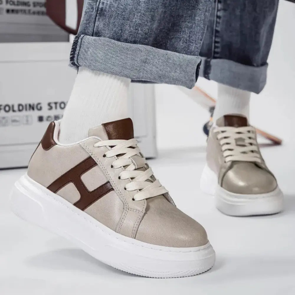 https://cdn.shopify.com/s/files/1/0602/1690/1850/files/Hexo_6.webp?v=1763086837