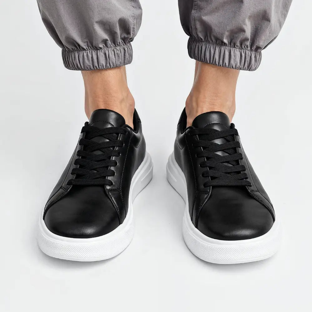 https://cdn.shopify.com/s/files/1/0602/1690/1850/files/Aurex_10.webp?v=1754955784