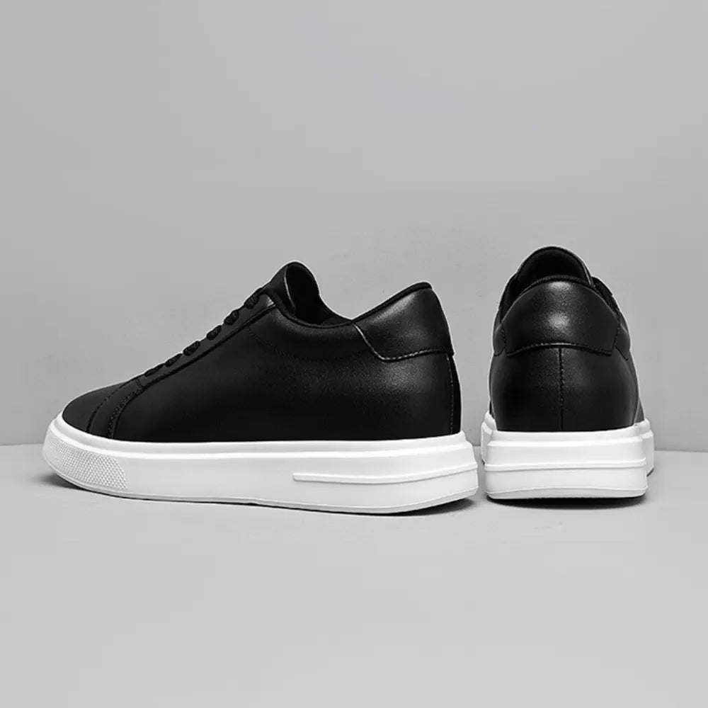 https://cdn.shopify.com/s/files/1/0602/1690/1850/files/Aurex_5.webp?v=1754955784