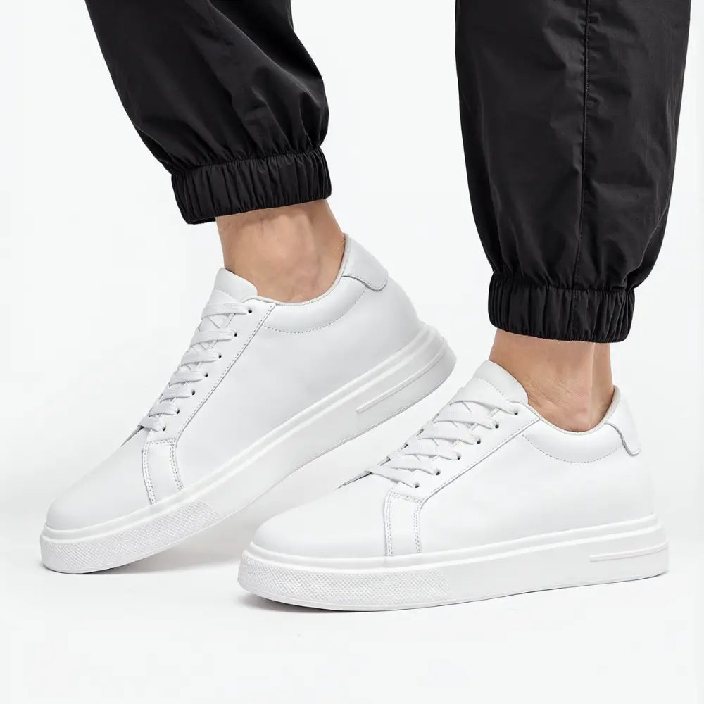 https://cdn.shopify.com/s/files/1/0602/1690/1850/files/Aurex_7.webp?v=1754955784