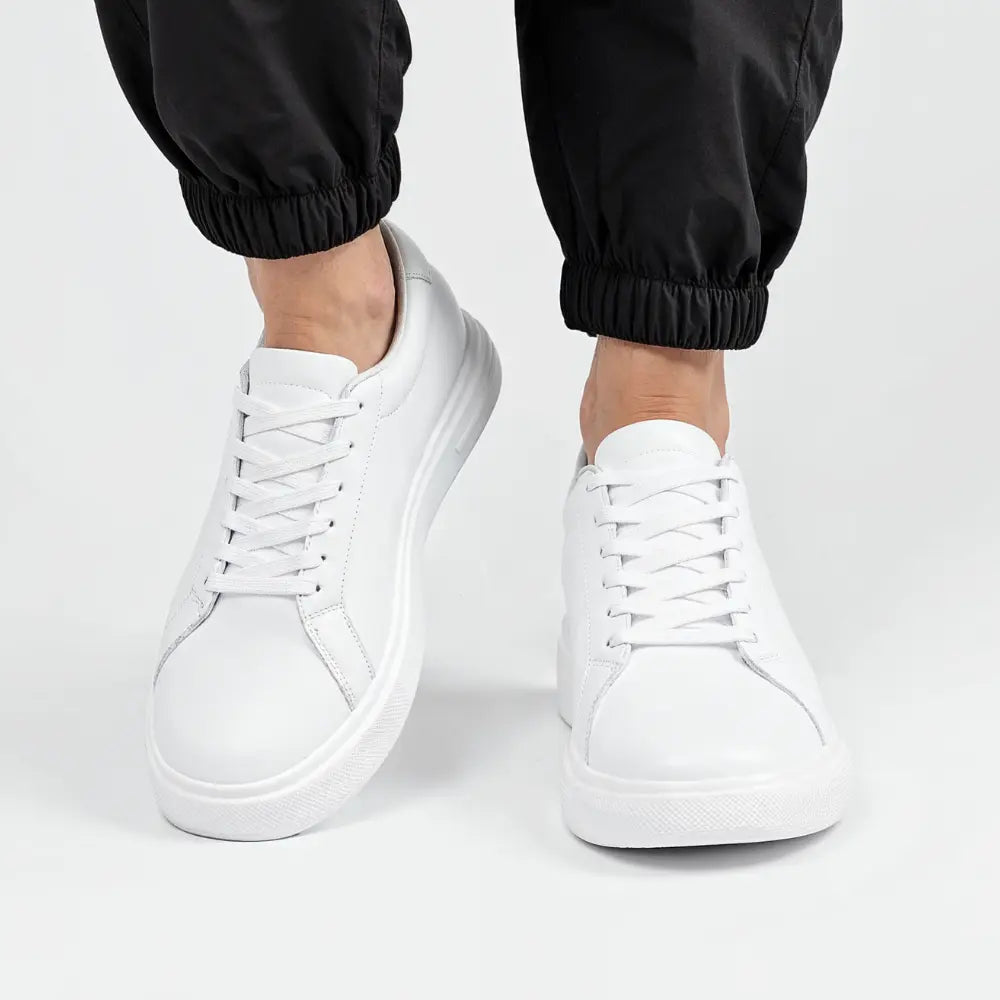 https://cdn.shopify.com/s/files/1/0602/1690/1850/files/Aurex_8.webp?v=1754955784